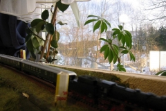 100-0098_IMG